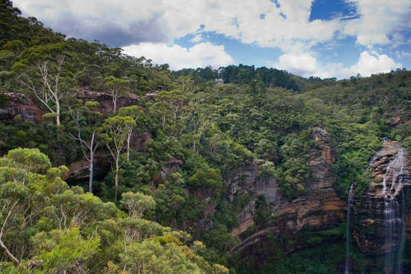 Why do Blue Mountains look blue from a distance?